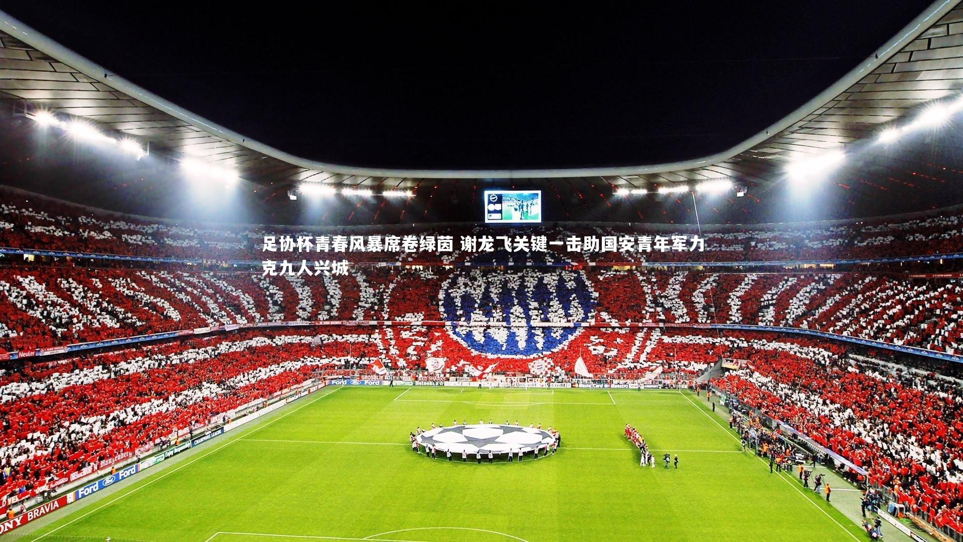 【星空体育】足协杯青春风暴席卷绿茵 谢龙飞关键一击助国安青年军力克九人兴城